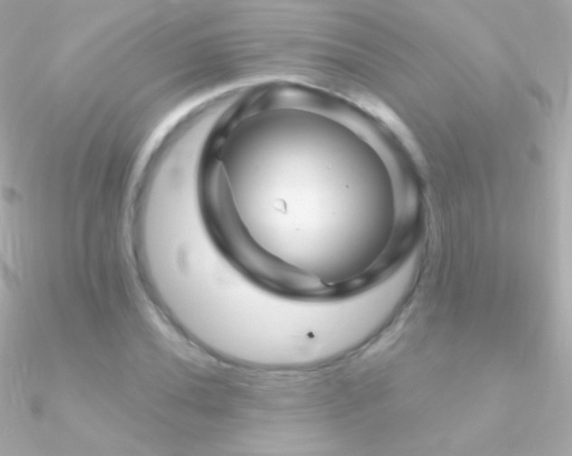 X0000090951020200708021332