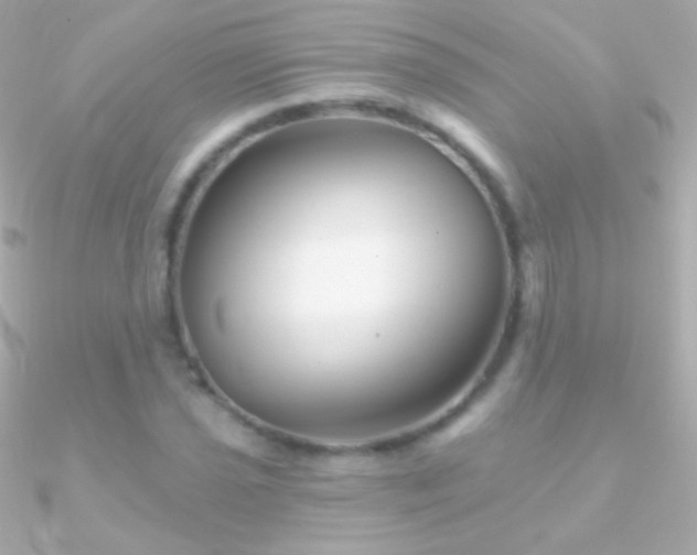X0000090951021200708021332