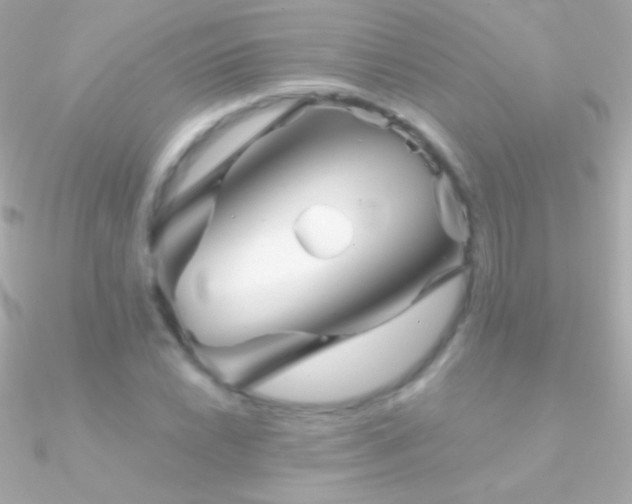 X0000090951022200708021332