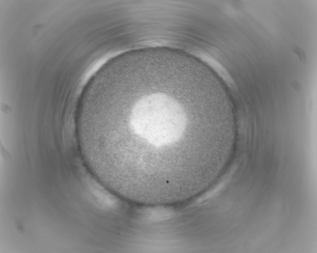 X0000090951023200708021332