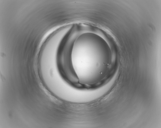 X0000090951024200708021332