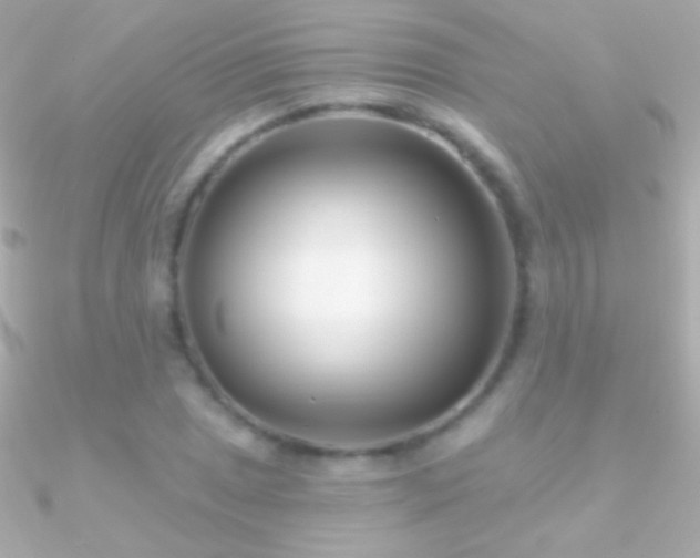 X0000090951025200708021332