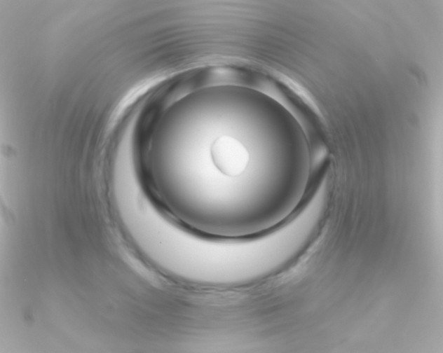 X0000090951026200708021332