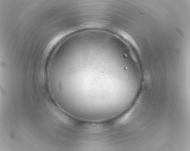 X0000090951027200708021332