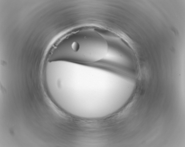 X0000090951028200708021332