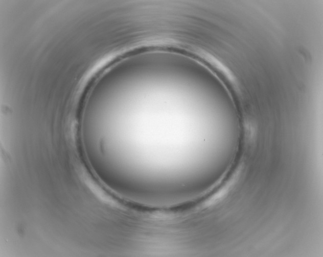 X0000090951029200708021333