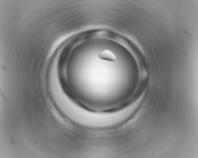 X0000090951030200708021333