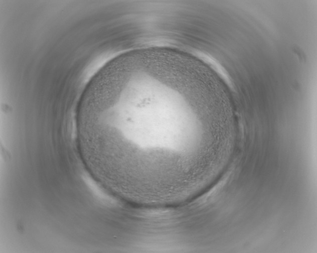 X0000090951031200708021333