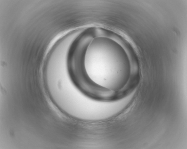 X0000090951032200708021333