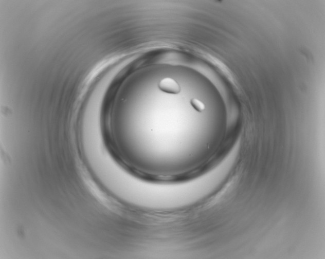 X0000090951034200708021333