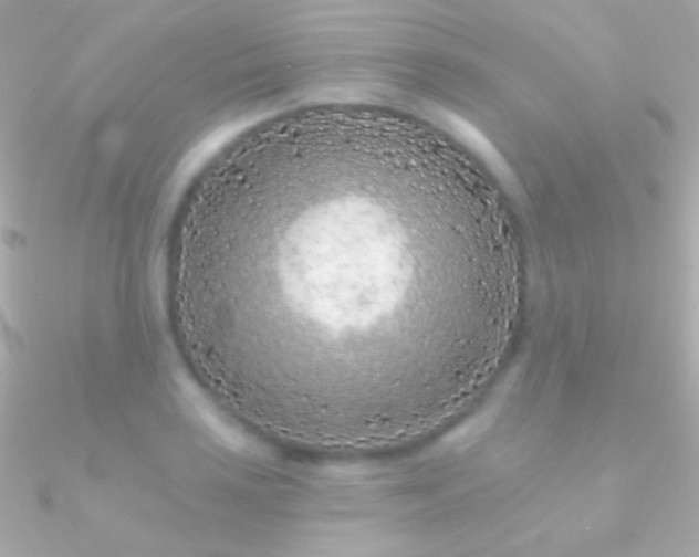 X0000090951035200708021333
