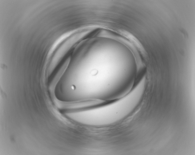 X0000090951036200708021333