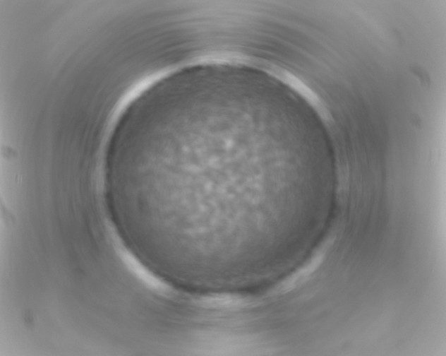 X0000090951037200708021333