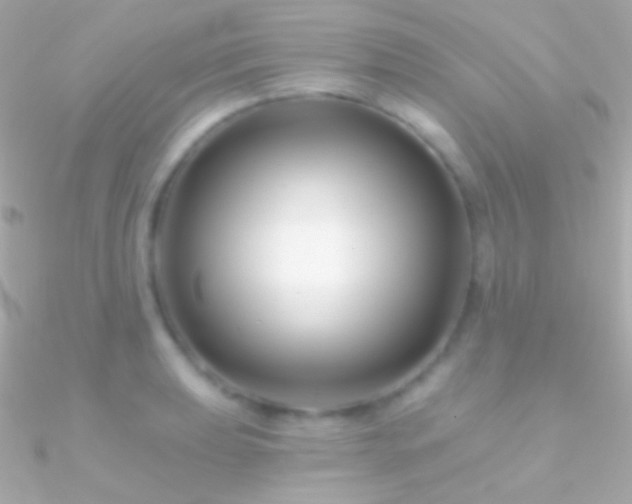 X0000090951039200708021333