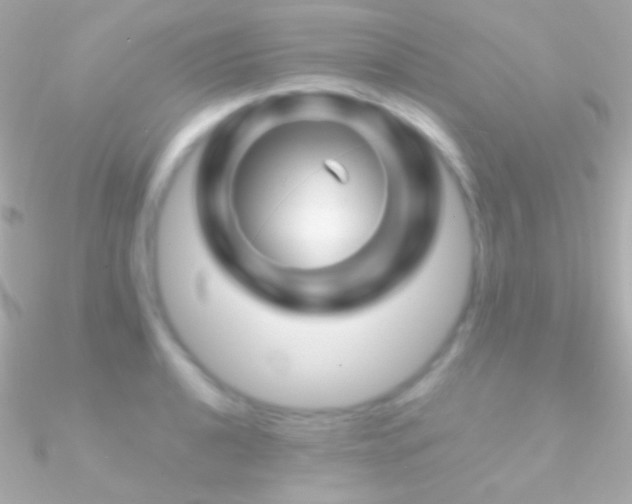 X0000090951040200708021333