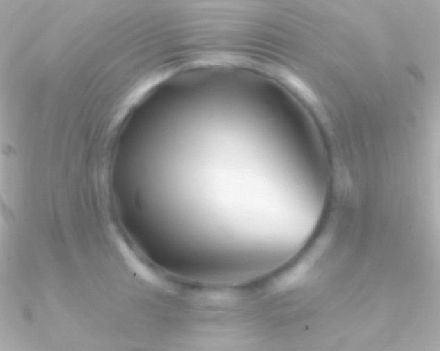 X0000090951041200708021333