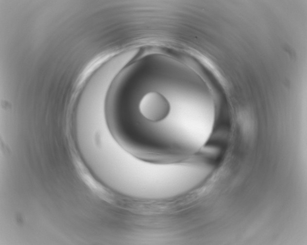 X0000090951042200708021333