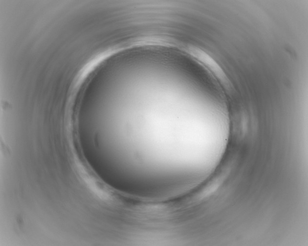 X0000090951043200708021333
