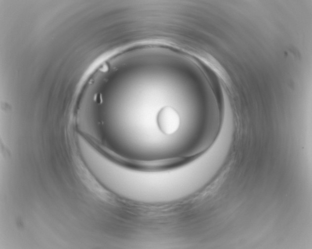 X0000090951044200708021333