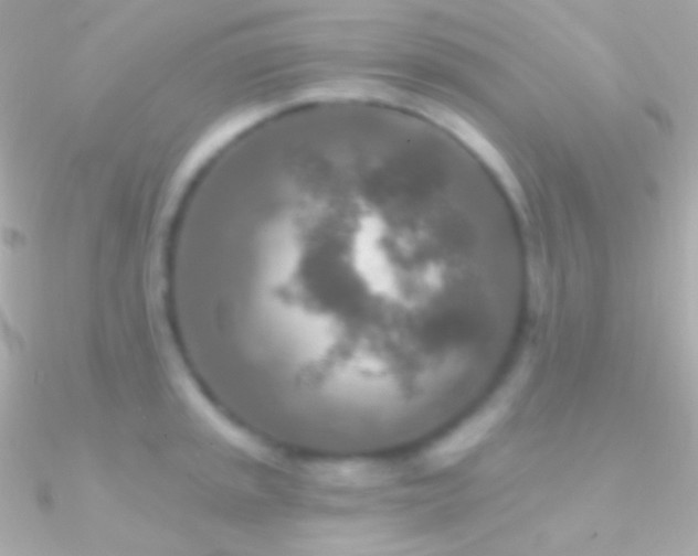 X0000090951045200708021333