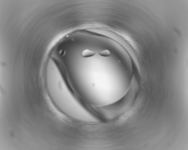 X0000090951046200708021333