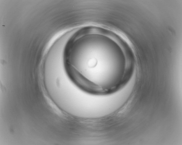 X0000090951048200708021333