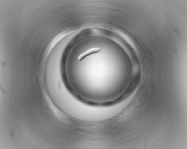 X0000090951050200708021333