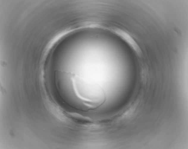 X0000090951051200708021333
