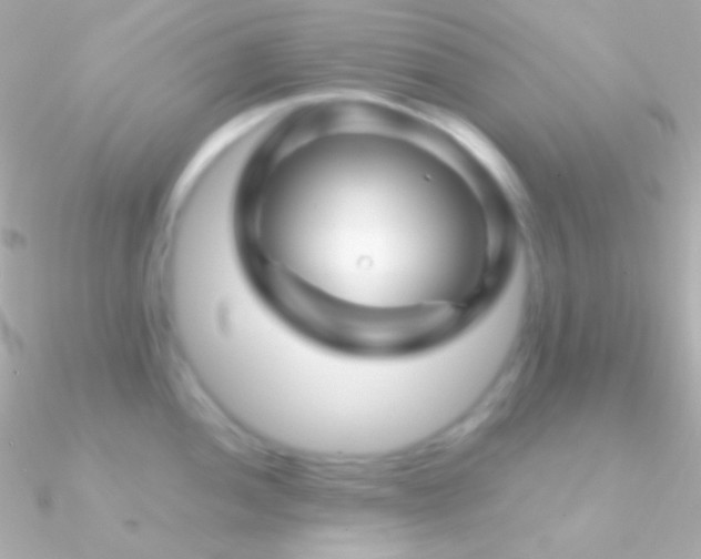 X0000090951052200708021333