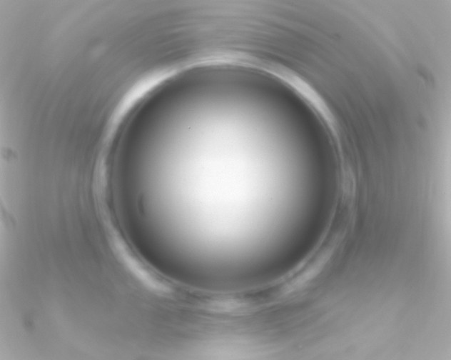 X0000090951053200708021333