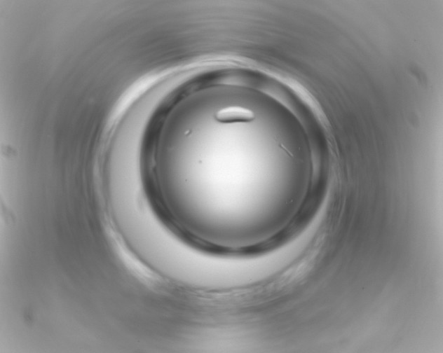 X0000090951054200708021333