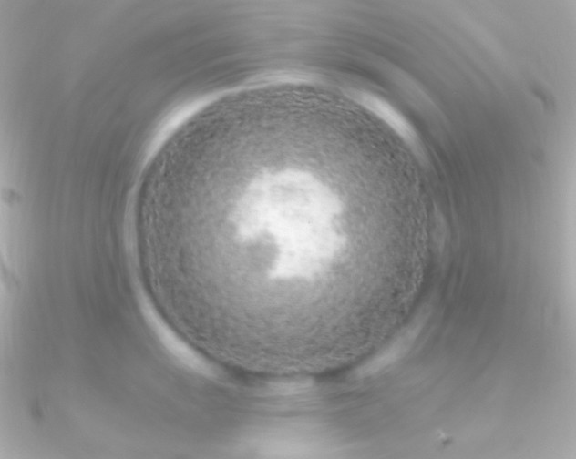 X0000090951055200708021333