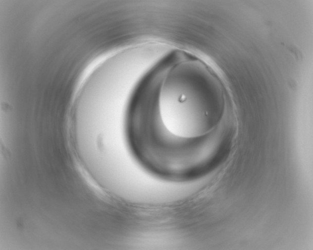 X0000090951056200708021333