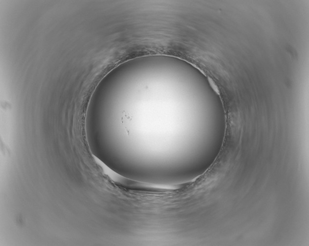 X0000090951057200708021332