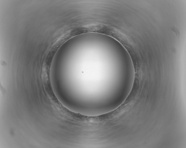 X0000090951058200708021332
