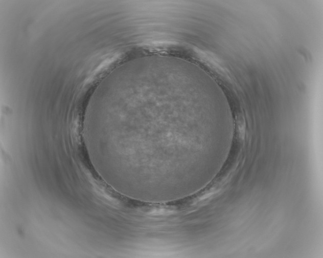 X0000090951060200708021332