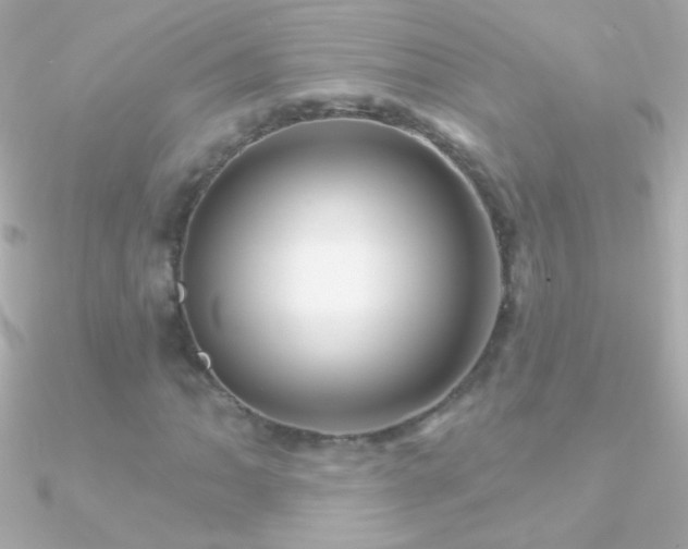 X0000090951062200708021332