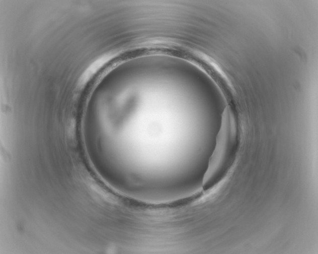 X0000090951066200708021332