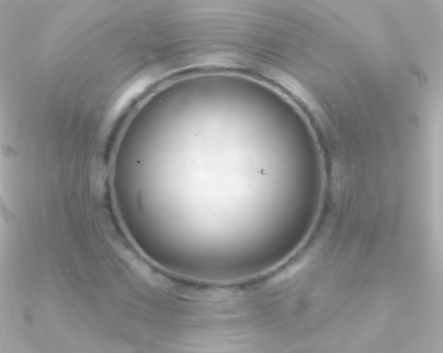 X0000090951067200708021332