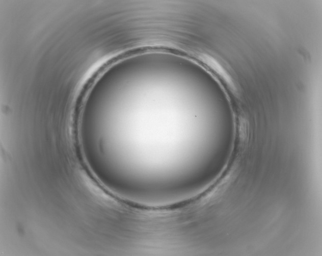 X0000090951068200708021332