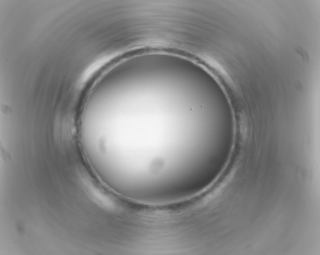 X0000090951070200708021332