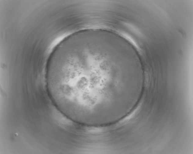 X0000090951071200708021332