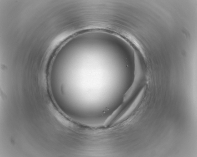 X0000090951072200708021332