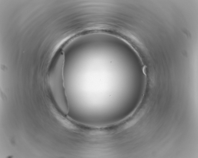 X0000090951073200708021332