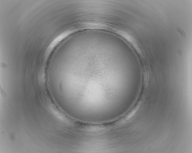 X0000090951074200708021332