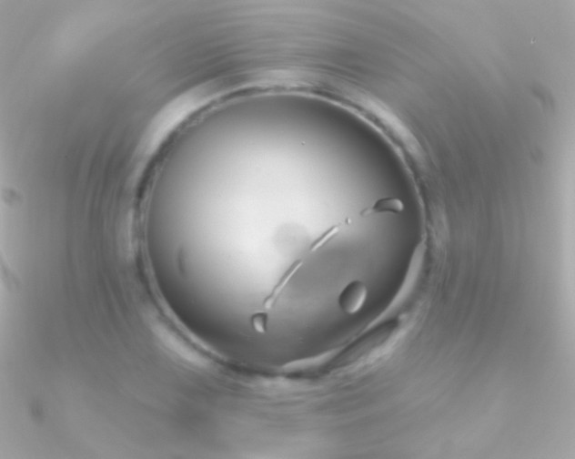 X0000090951075200708021332