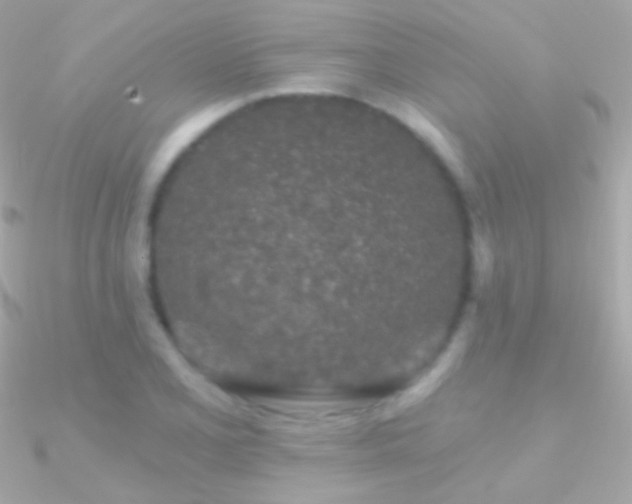 X0000090951077200708021332