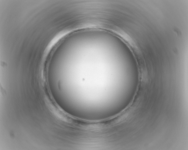 X0000090951078200708021332