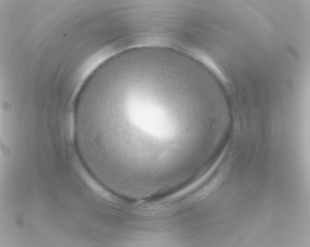 X0000090951079200708021332