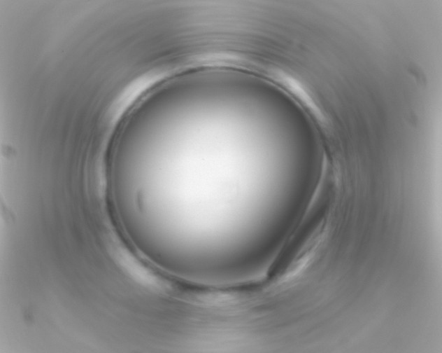 X0000090951082200708021332